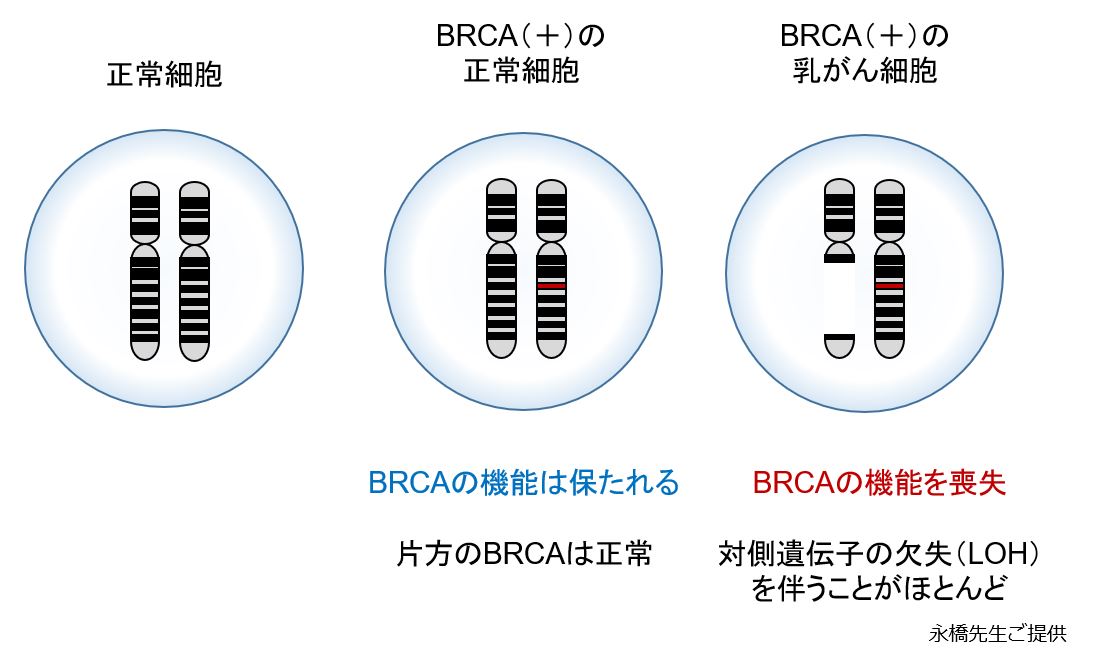 自分のリスクを懸念している場合はどうすればよいか